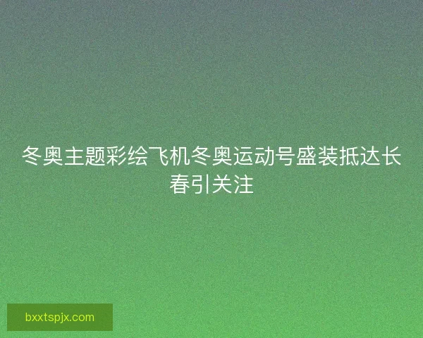 冬奥主题彩绘飞机冬奥运动号盛装抵达长春引关注