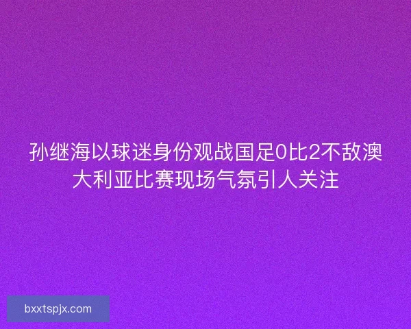 孙继海以球迷身份观战国足0比2不敌澳大利亚比赛现场气氛引人关注